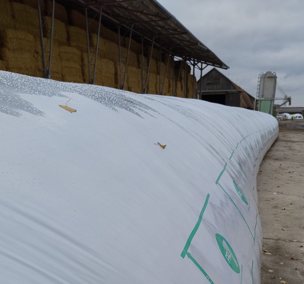 IMG 20251104 132106152