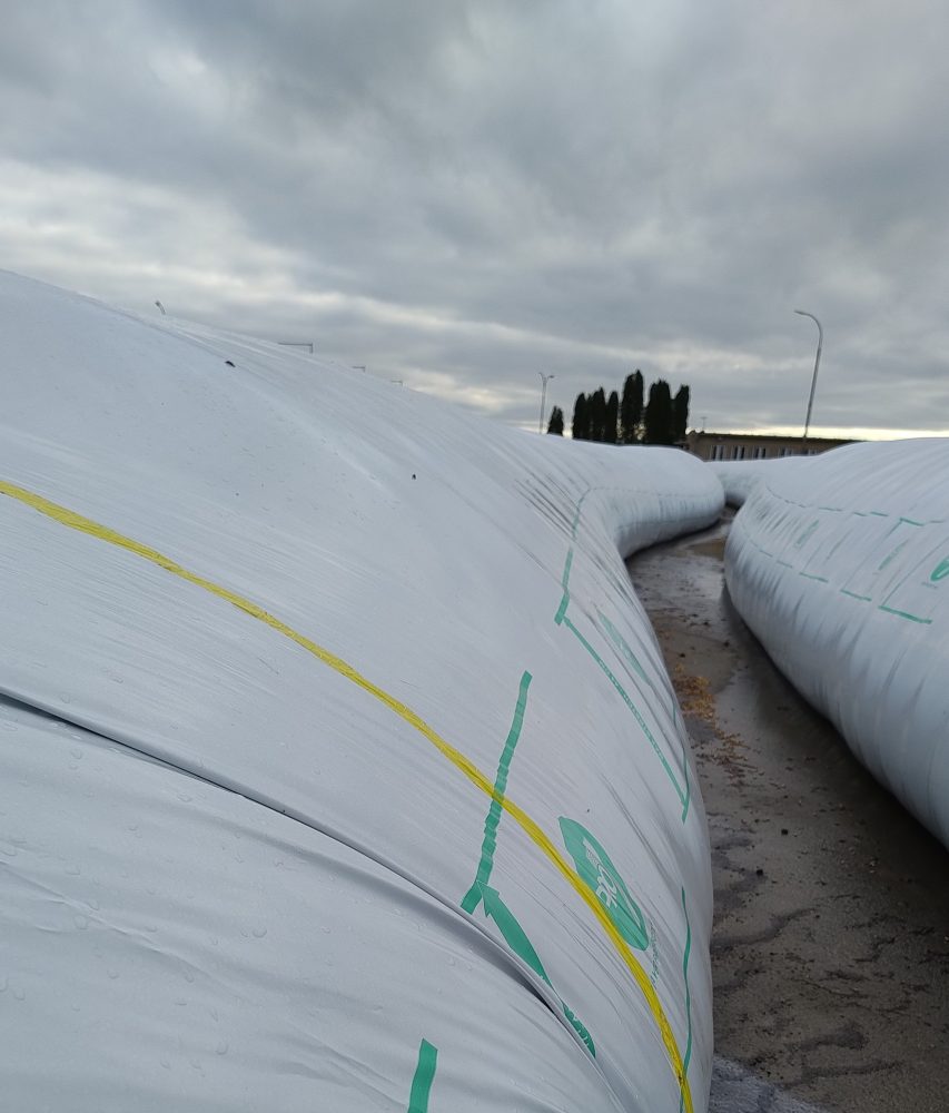 IMG 20251104 134936802