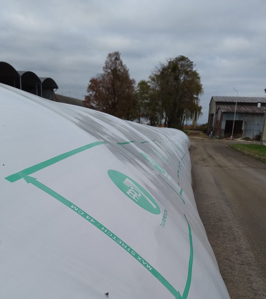 IMG 20251104 135025102