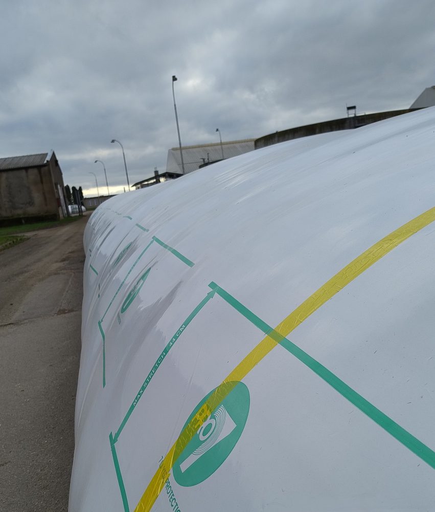 IMG 20251104 135118163