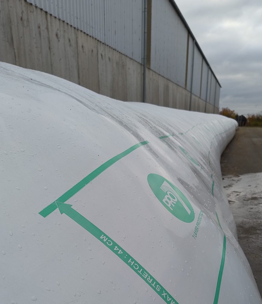 IMG 20251104 135201587