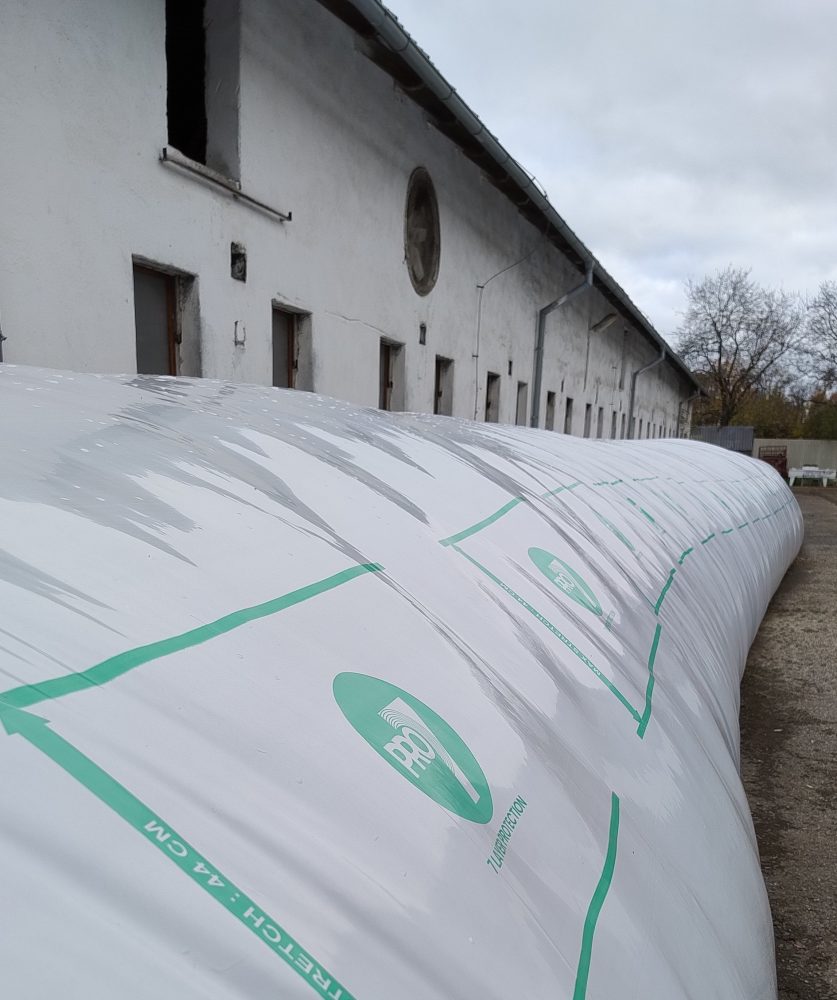 IMG 20251104 141629662