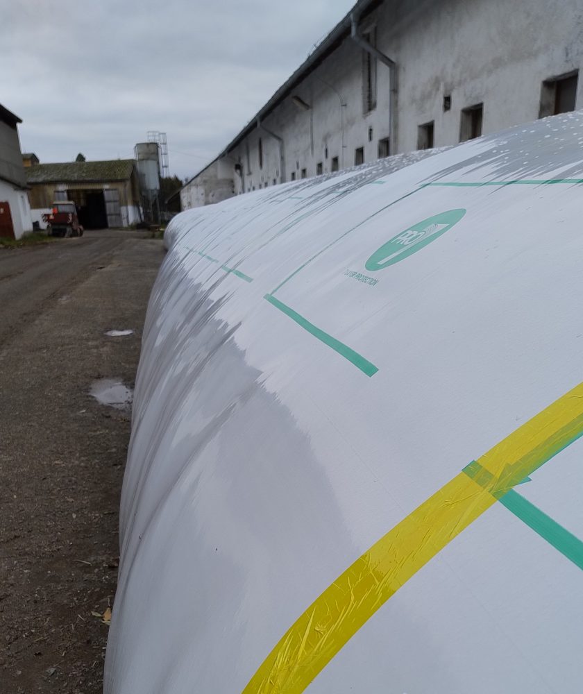 IMG 20251104 141724380